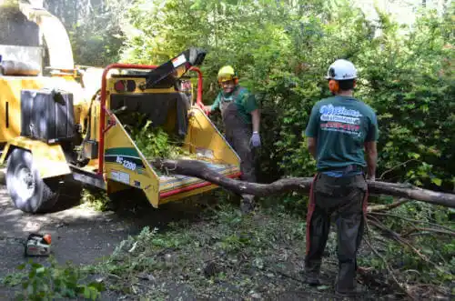 tree services Millport